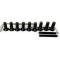 Auto Pro USA VSW 9-Bolt Hub Adapter, 9 Bolt, Black STH1001BLK