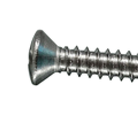 AMK 1966 Ford Fairlane 2 piece Mirror (Outside) > Door Stainless Steel Panhead Oval Ab Screws F-1674