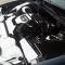 American Car Craft 2003-2005 Thunderbird 3.9L V8 - Inner Fender Covers 5pc, Stainless Steel, Choose Finish 503002