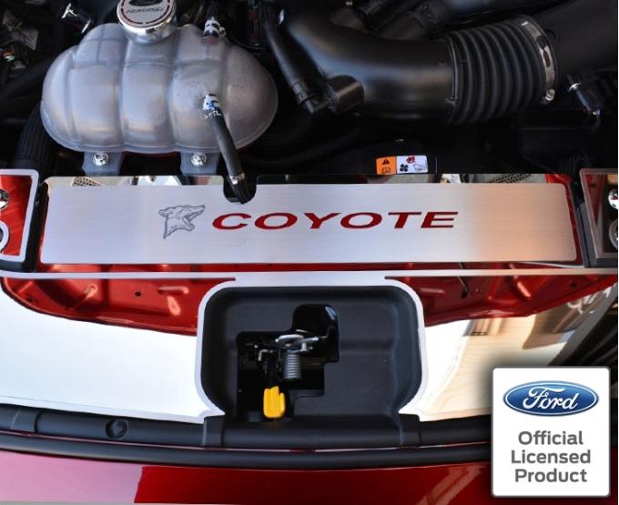 American Car Craft 2015-2017 Mustang GT - Radiator Cover Vanity Plate with Etched logo & Coyote Lettering, Brushed, Choose Color 273061