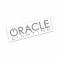 Oracle Lighting Lighting Decal, Silver 8028-504