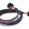 MSD LS Ignition Control, Black 60143