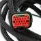 MSD EFI and LS Harness, Pro 600 80002