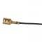 Dennis Carpenter Horn Bar Pad and Switch - 1971-77 Ford Truck, 1975-77 Ford Bronco D3TZ-13A805-A
