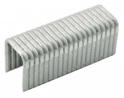 Ford Thunderbird Fender Skirt Seal Staple Kit, 1955-57