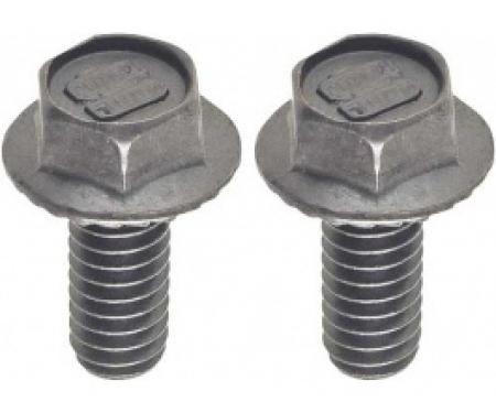 Ford Thunderbird Rear License Plate Light Bolt Set, 1964-66