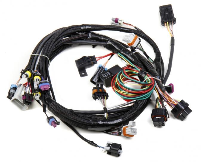 Holley EFI LS1/6 (24x/1x) Engine Main Harness 558-102