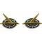 Roof Emblems - Futura - Chrome With Black Recesses and Gold Falcon - Falcon Futura