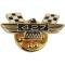 Hat Or Lapel Pin, Thunderbird Wings, 427