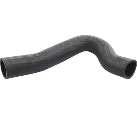 Ford Pickup Truck Lower Radiator Hose - 302 V8 - F100 & F150 With Standard Cooling