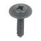 Ford Thunderbird Roof Rail Weatherstrip Screw Set, 1964-66