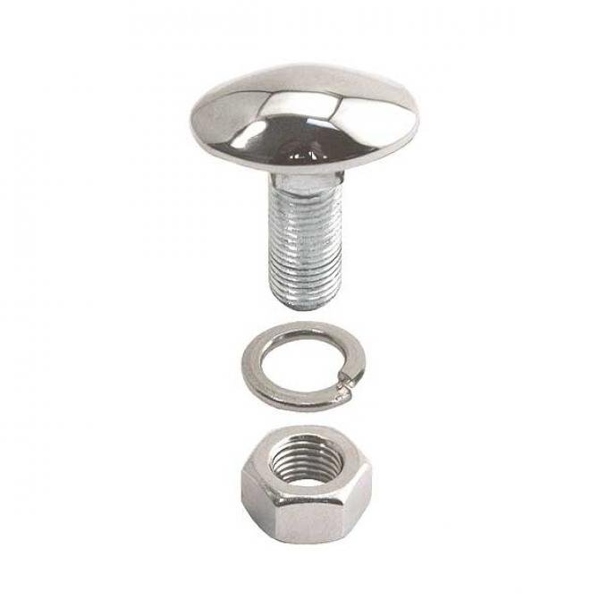 Bumper Bolt Stainless Steel Cover - Oval-Head - Ford PickupTruck