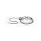 Dome Lamp Assembly - Stainless Steel Rim - With Correct Plastic Lens - Ford