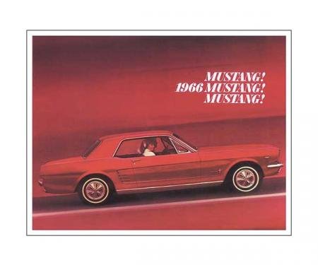 Mustang Color Sales Brochure - 12 Pages - 32 Illustrations