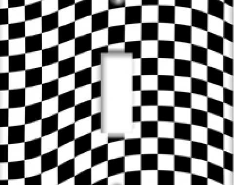 Checkered Switchplate