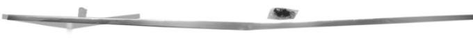 Dynacorn Hood Moulding 1970 M3643