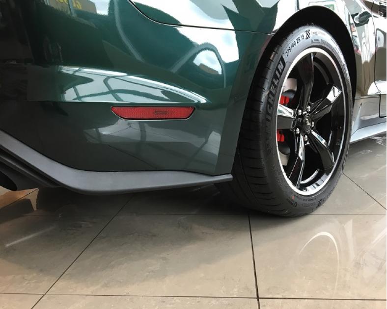 Cleartastic 2018-2021 Ford Mustang Behind Rear Wheels Protection Set ...