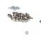 AMD Rear Fender Bolt Kit, 72pcs, Stainless, 48-79 Ford Pickup Truck Flareside X780-4548-S