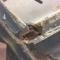 AMD Windshield Corner Bracket, RH 360-8466-1R