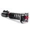 QA1 Proma Star Coilover Strut Kit,94-04 Mustang,Single Adjust,Street HS03-12200