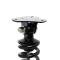 QA1 MS618-14500 Front Pro Coil Shock System, 2015-2025 F150, 2WD, Single Adj MD618-14500