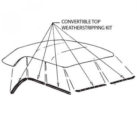 Dennis Carpenter Weather Stripping Kit - Convertible Top - 1951 Ford Car   1A-6451562-KIT