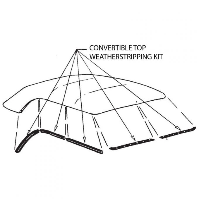 Dennis Carpenter Weather Stripping Kit - Convertible Top - 1950 Ford Car   0A-6451562-KIT