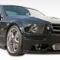 Extreme Dimensions 2005-2014 Ford Mustang Duraflex Stallion Side Skirts 104297