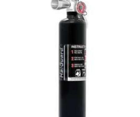 Fire Extinguisher, H3R Halguard, Black, 2.5 Lb.