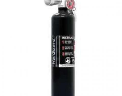 Fire Extinguisher, H3R Halguard, Black, 2.5 Lb.