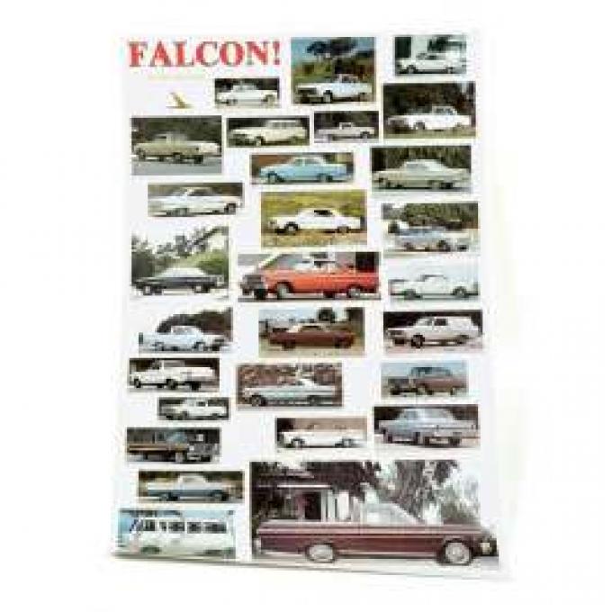 Poster - Falcon - 23 x 25