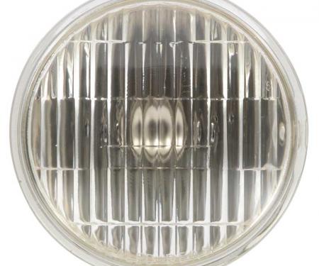 OER 1965-68 GT MUSTANG FOG LAMP BULB, clear GT6