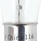 Replacement Bulb B-6 Double Contact Bayonet 15 CP 1004